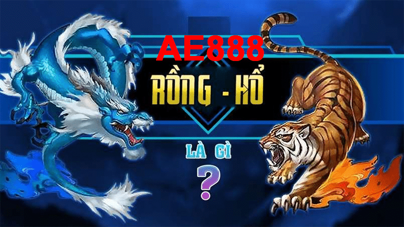RỒNG HỔ